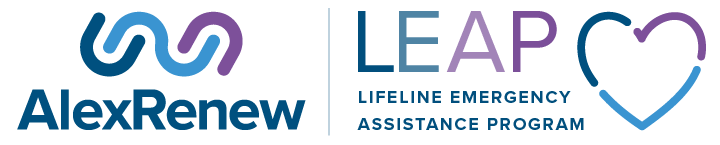 Leap logo 3Lockup